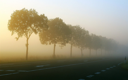 1135479 (a): :2560x1600